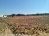 Terrain Basma