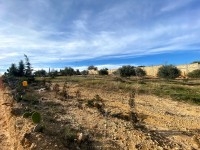 TERRAIN BAYREM Hammamet, Birbouregba T924