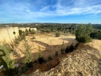 TERRAIN BAYREM Hammamet, Birbouregba T924