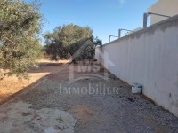 Terrain clôturé à vendre à Hammamet Sud à 175 MD 
