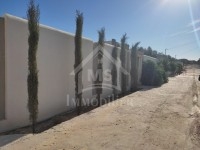 Terrain clôturé à vendre à Hammamet Sud à 175 MD 