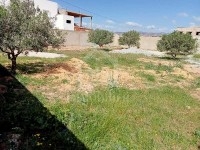 Terrain clôturé à vendre à Hammamet Sud 51355351
