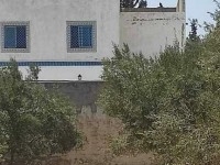 Terrain clôturé à vendre à Hammamet Nord 51355351