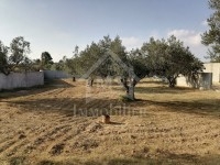 Terrain clôturé de 1000 m² à vendre à 195 MD  
