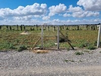 Terrain clôturé de 1000 m² à vendre à Hammamet Sud