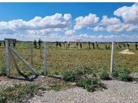 Terrain clôturé de 1000 m² à vendre à Hammamet Sud