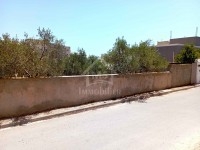 Terrain clôturé de 656 m² à vendre à Hammamet Nord