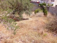 Terrain clôturé de 656 m² à vendre à Hammamet Nord