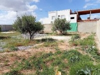 Terrain clôturé de 687 m² à vendre à Hammamet Sud 