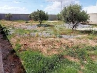 Terrain clôturé de 687 m² à vendre à Hammamet Sud 