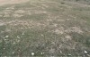 Terrain constructible à Chott Mariem