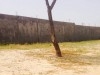 Terrain constructible sur Sidi Bouali