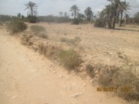 Terrain construction ou agricole 2300 m2 mahboubin