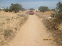 Terrain construction ou agricole 2300 m2 mahboubin