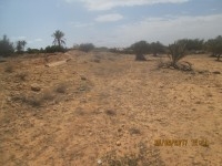 Terrain construction ou agricole 2300 m2 mahboubin