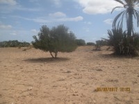 Terrain construction ou agricole 2300 m2 mahboubin