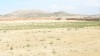 Terrain d'un hectar résidentiel titré à tajrouine