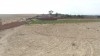 Terrain d'un hectar résidentiel titré à tajerouine