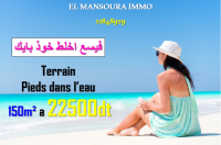 terrain dar alouche kélibia