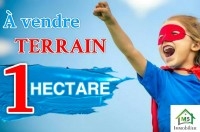 Terrain de 1 hectare à vendre à Hammamet 51355351