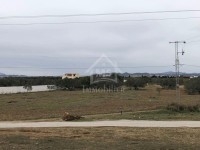 Terrain de 1 hectare à vendre 51355351