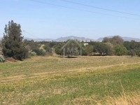 Terrain de 1 hectare à vendre 51355351
