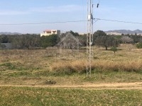 Terrain de 1 hectare à vendre 51355351
