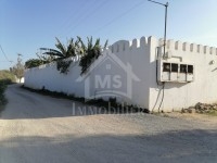 Terrain de 1000 m² à vendre à Hammamet à 195 MD 