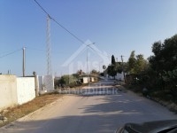 Terrain de 1000 m² à vendre à Hammamet à 195 MD 