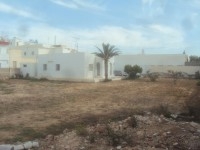 Terrain de 1430 m² Route EL AIN km 2