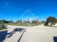Terrain de 210 m² à vendre à 150 MD à Hammamet  