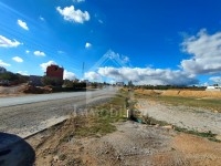 Terrain de 262 m² à vendre à 70 MD à Hammamet Sud 