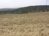TERRAIN DE 3 hectare et demi A EL ALIA 