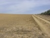 TERRAIN DE 3 hectare et demi A EL ALIA 