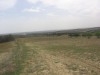 TERRAIN DE 3 hectare et demi A EL ALIA 