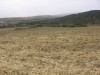 TERRAIN DE 3 hectare et demi A EL ALIA 