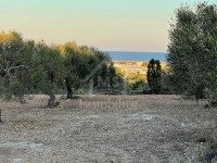 Terrain de 3316 m² à vendre à 270 MD à Maamoura