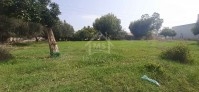 Terrain de 350 m² à vendre à 210 MD 51355351