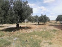 Terrain de 360 m² à Manaret El Hammamet à vendre 