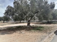 Terrain de 360 m² à Manaret El Hammamet à vendre 