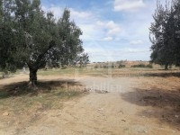 Terrain de 360 m² à Manaret El Hammamet à vendre 