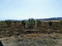 Terrain de 4 hectares à vendre à Hammamet 51355351