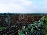 Terrain de 4 hectares à vendre à Hammamet 51355351