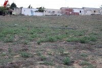 Terrain de 42000 m²  à Haret chaara _kélibia