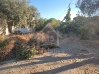 Terrain de 480 m² à vendre à Hammamet zone théâtre