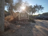 Terrain de 480 m² à vendre à Hammamet zone théâtre