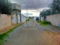 Terrain de 500 m² à vendre Hammamet Sud à 135 MD 
