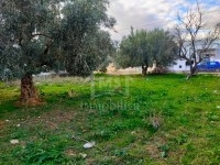 Terrain de 500 m² à vendre Hammamet Sud à 135 MD 