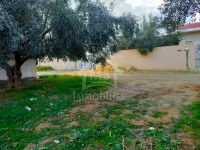 Terrain de 500 m² à vendre Hammamet Sud à 135 MD 