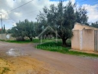 Terrain de 500 m² à vendre Hammamet Sud à 135 MD 